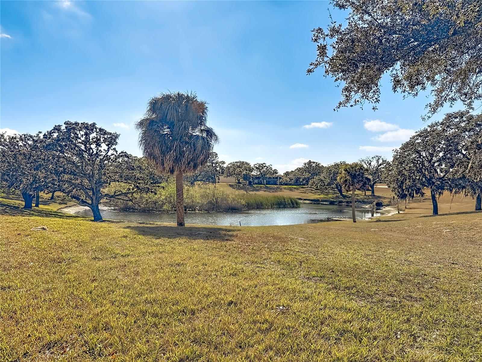 Serene Pond and Green Space with native wildlife