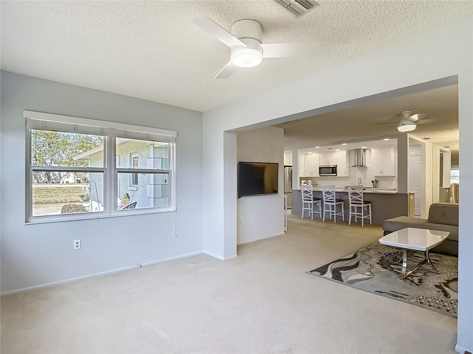 Bonus/Family Room - Living Room