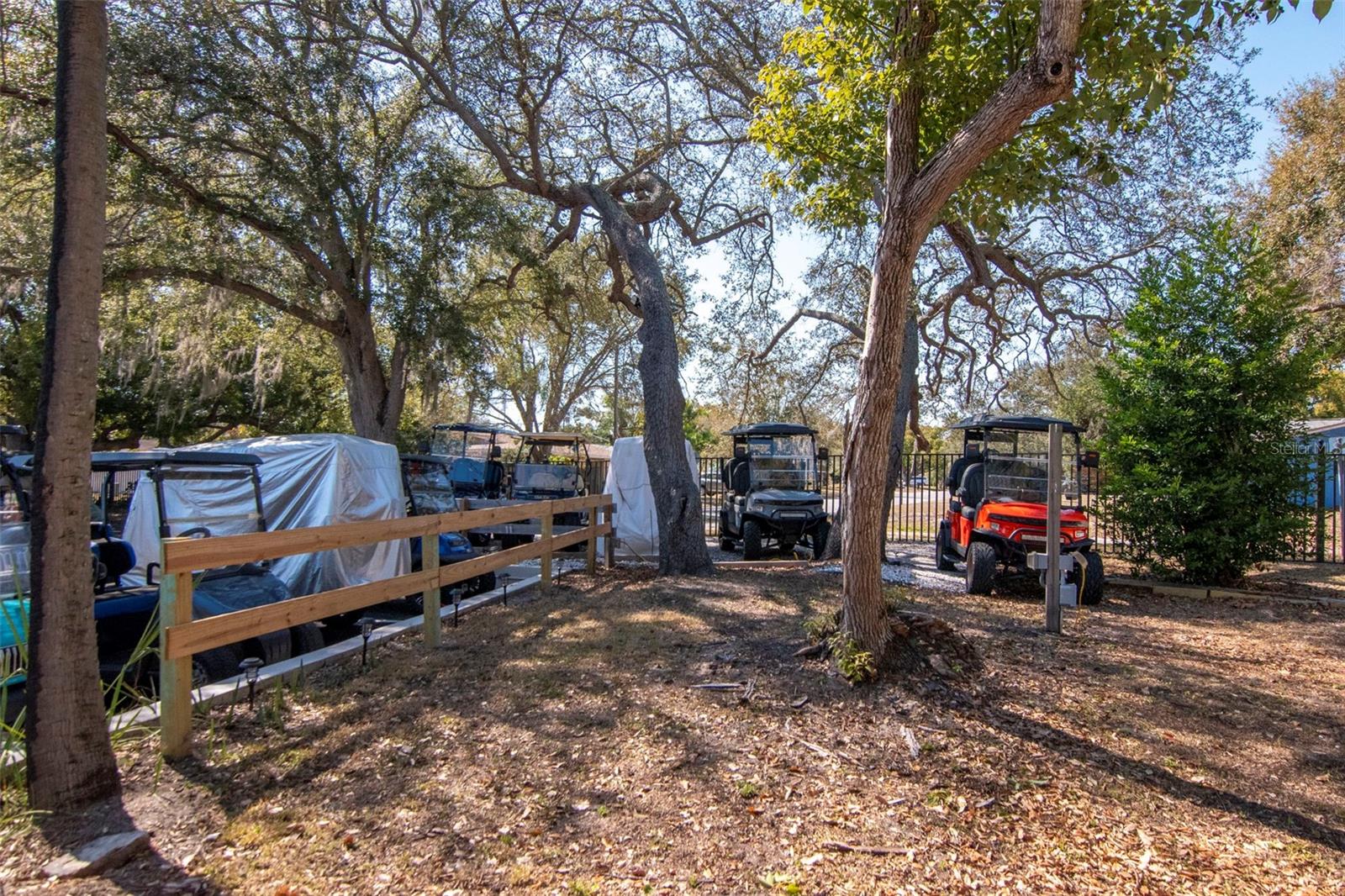 Designated Gold Cart parking