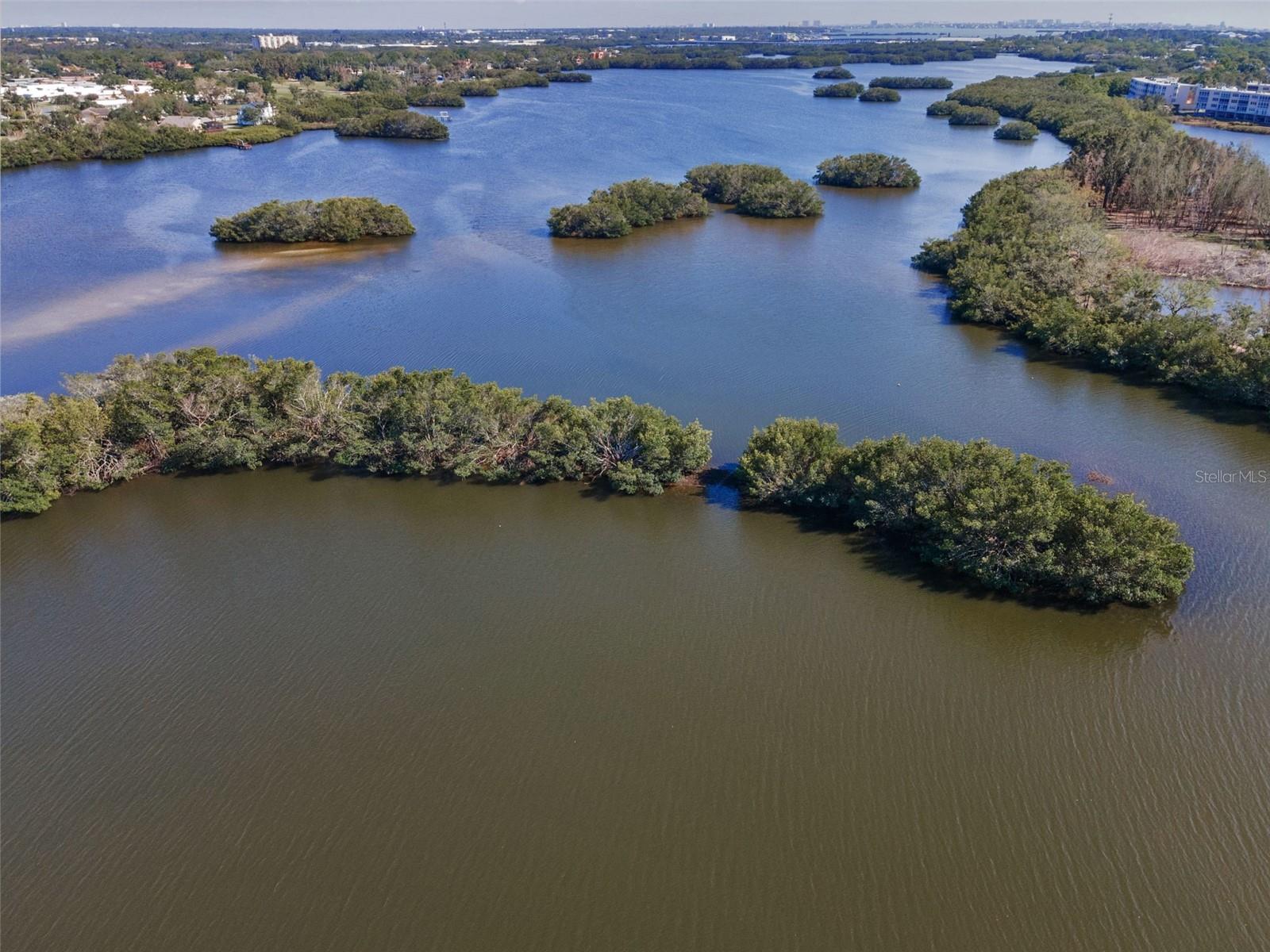 Kayaking Lake Seminole near Park & Gulf Beaches