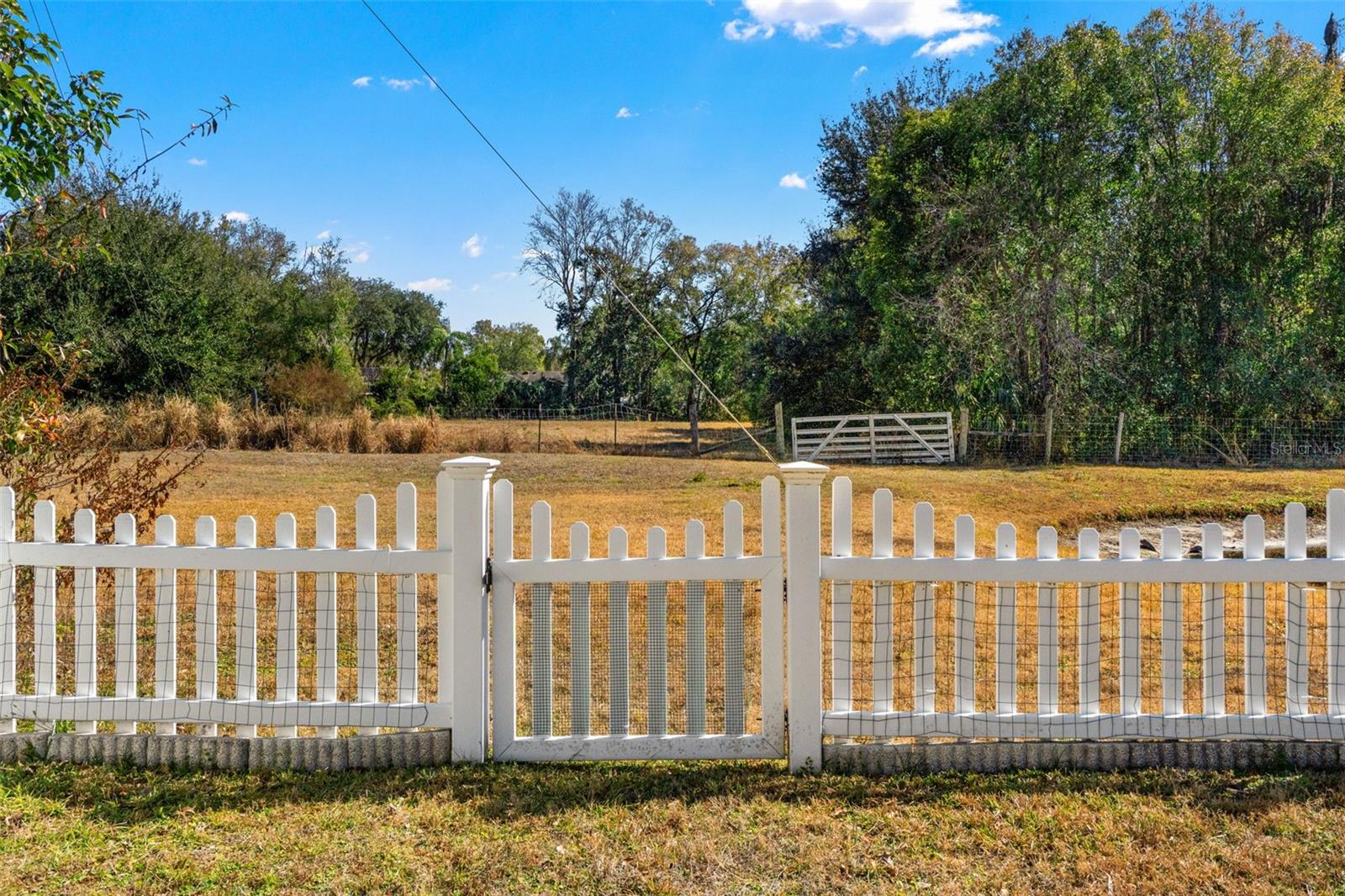 Farmland behind house