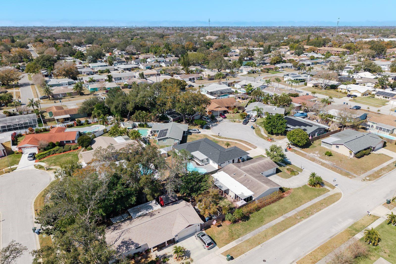 Pinellas County hidden gem!