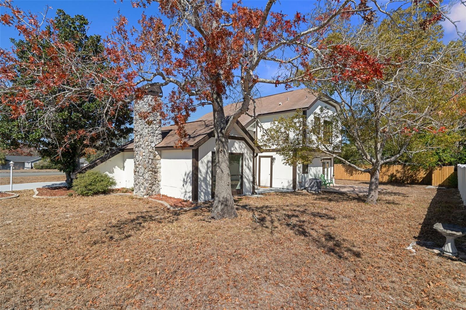 Another Back Yard View