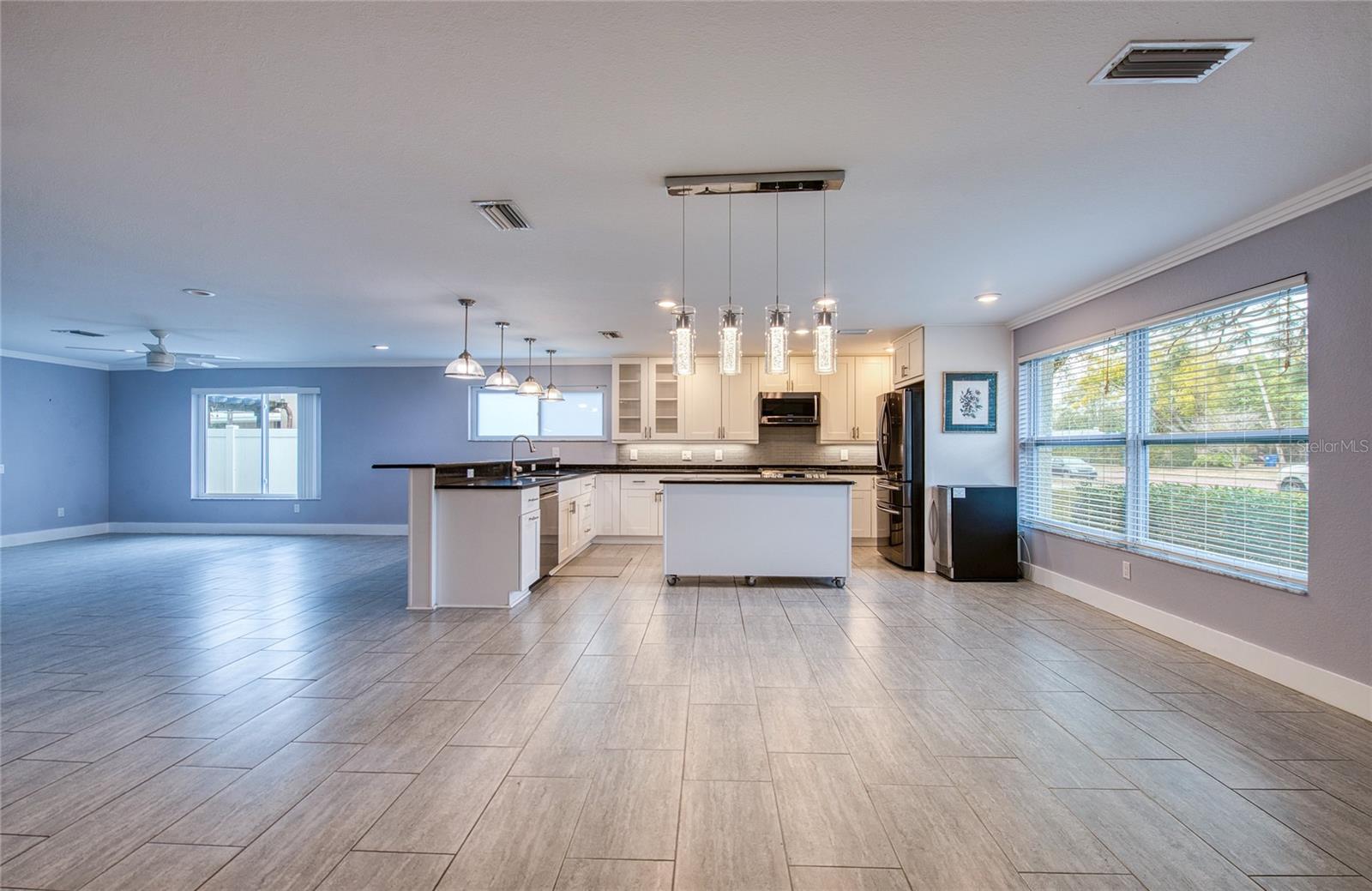 Dining Area and Kitchen