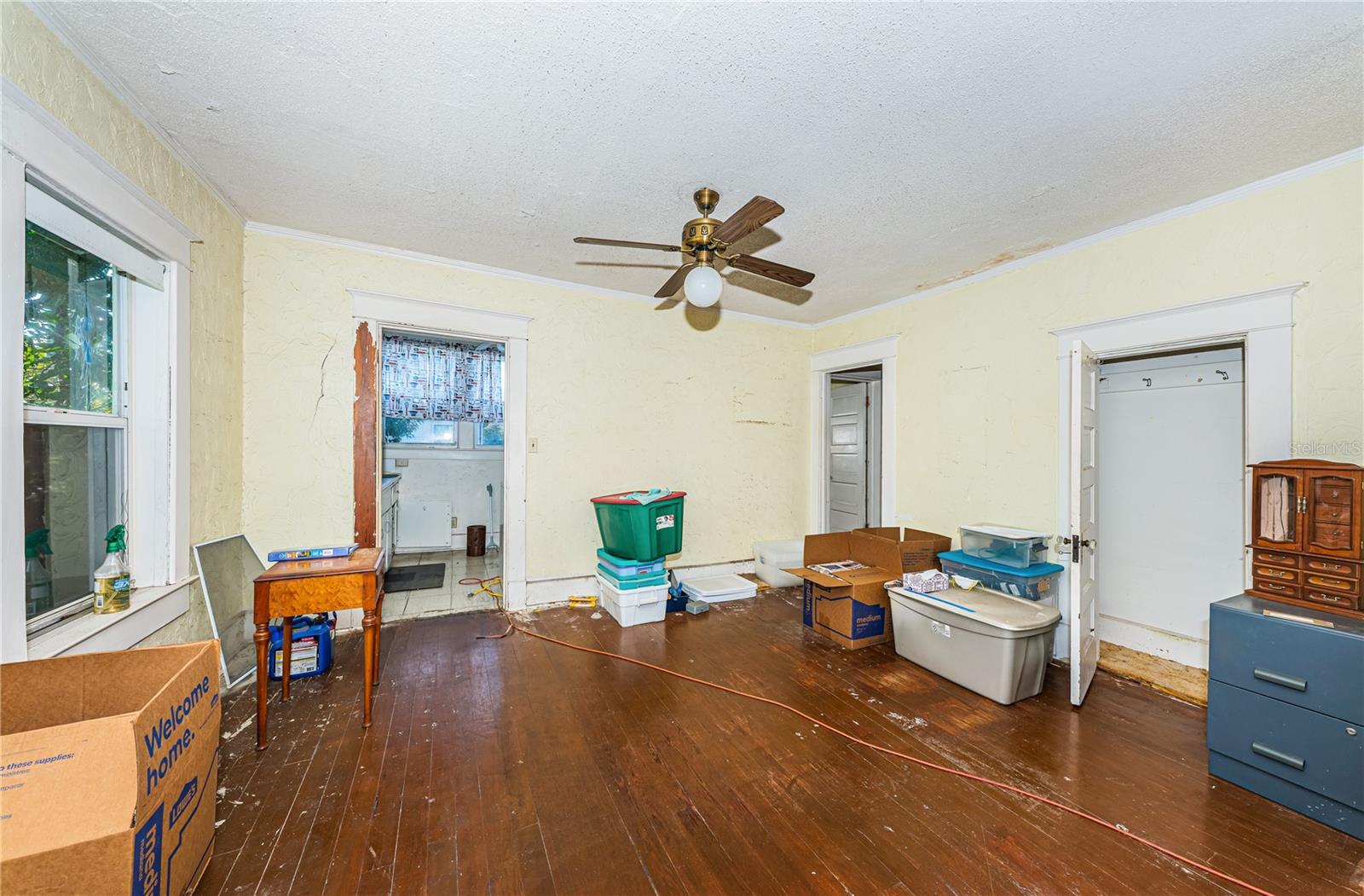 Living room and dining area