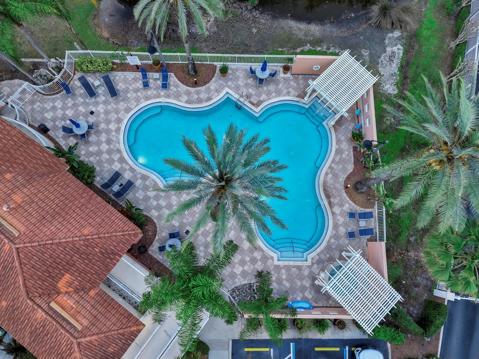 Aerial shot of Pool
