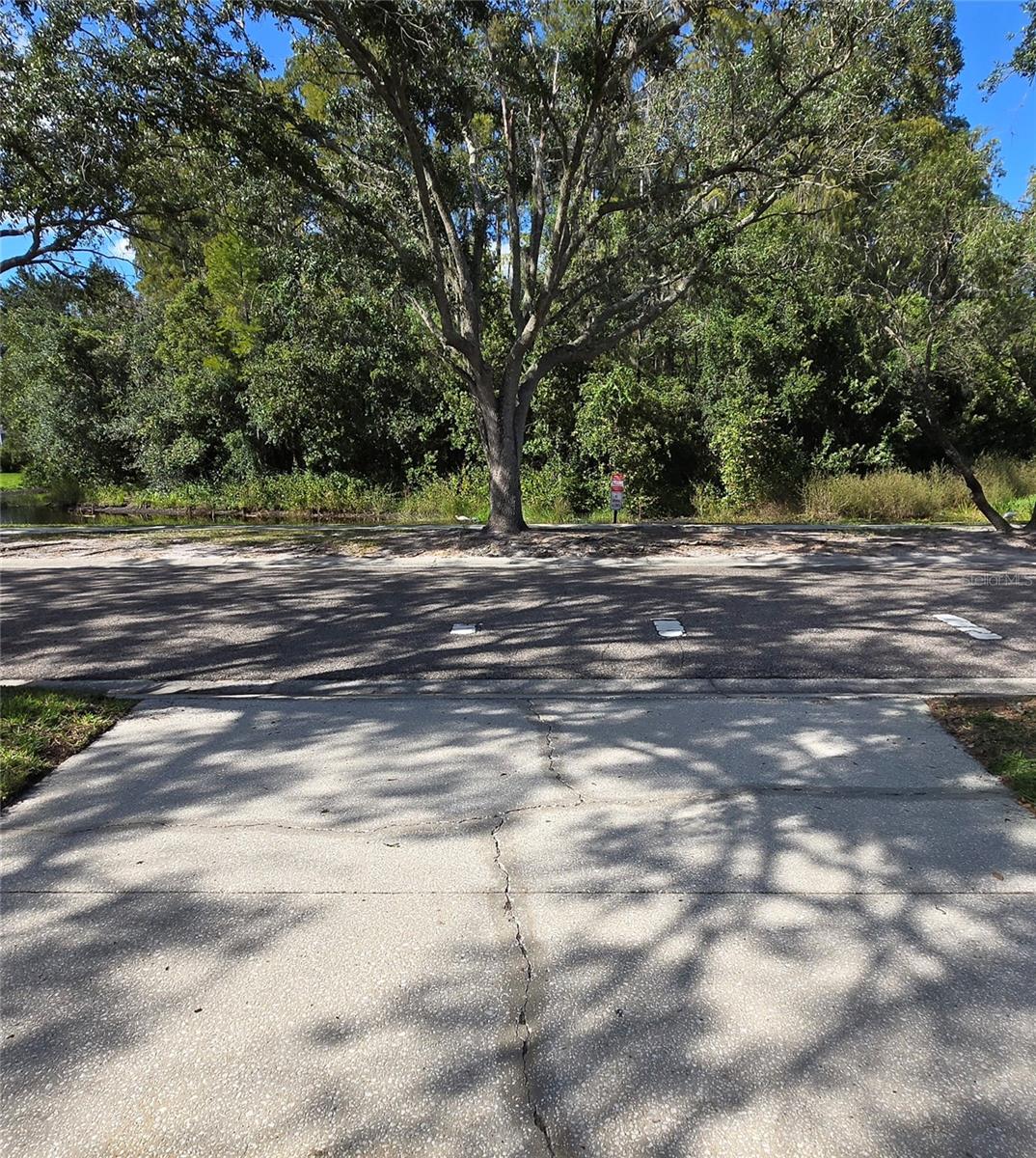 View directly across the street. No neighbors!