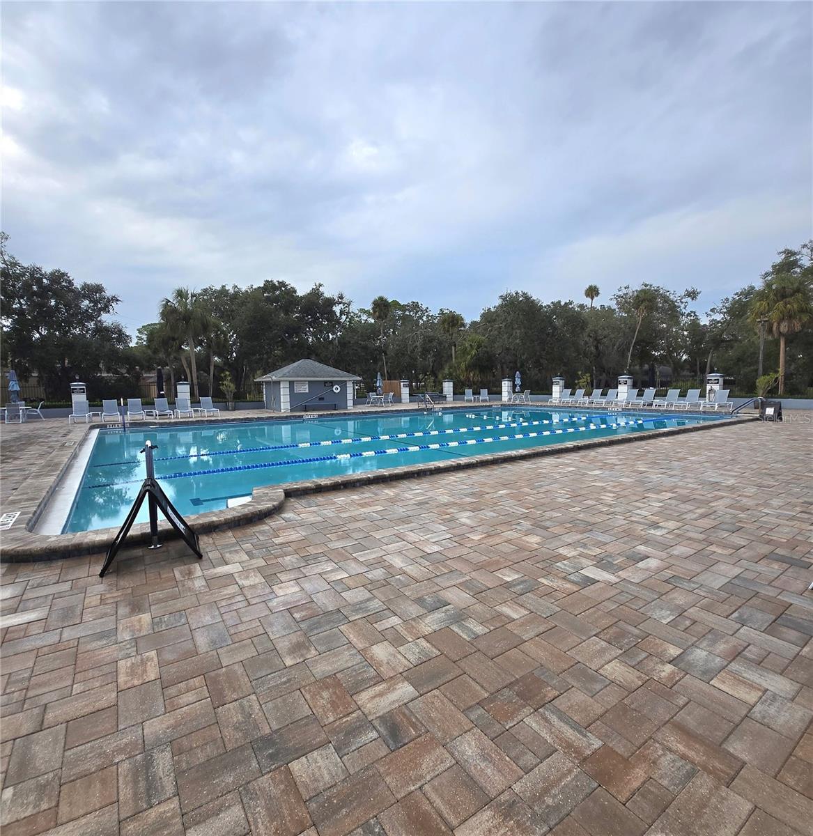 Great amenities include Olympic sized pool