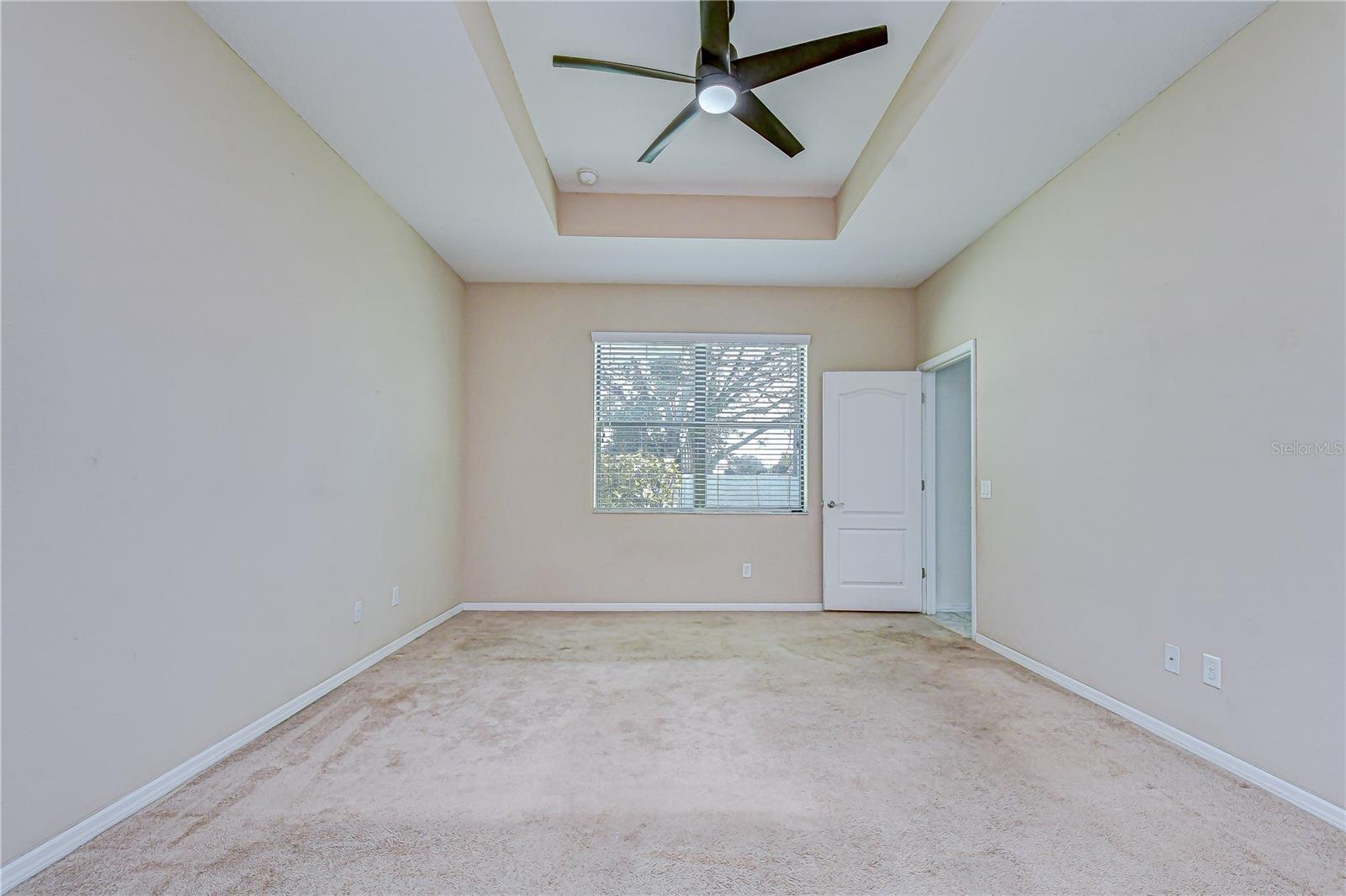 Tray ceiling and tons of natural light!