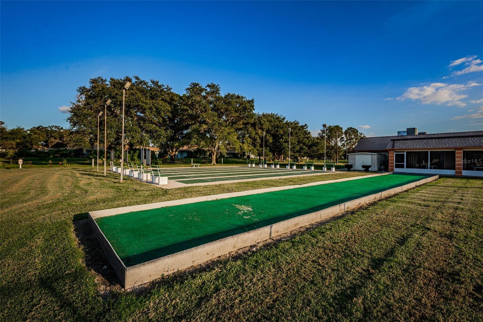 Shuffleboard and Bocce ball