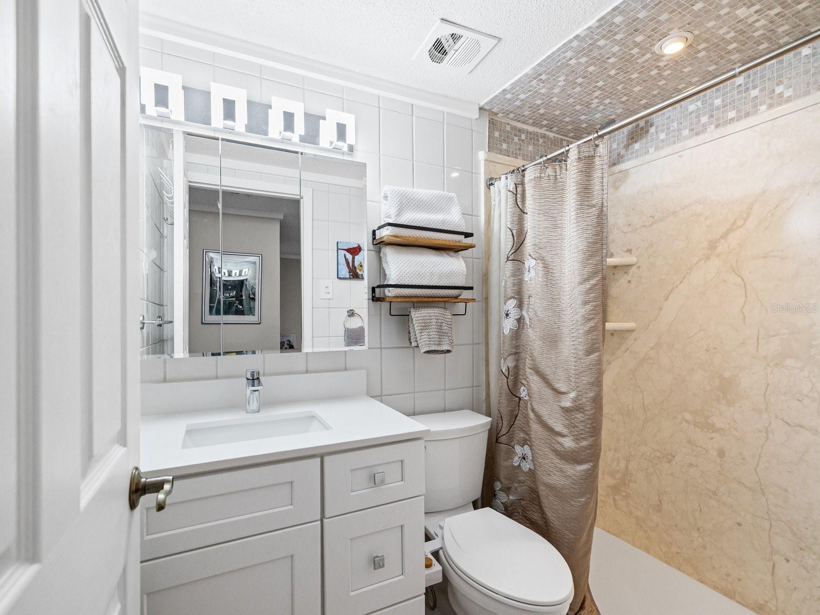 Guest bath with step in shower