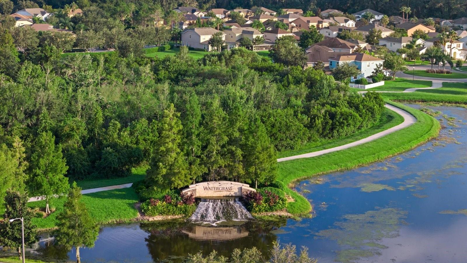 Welcome to Watergrass!