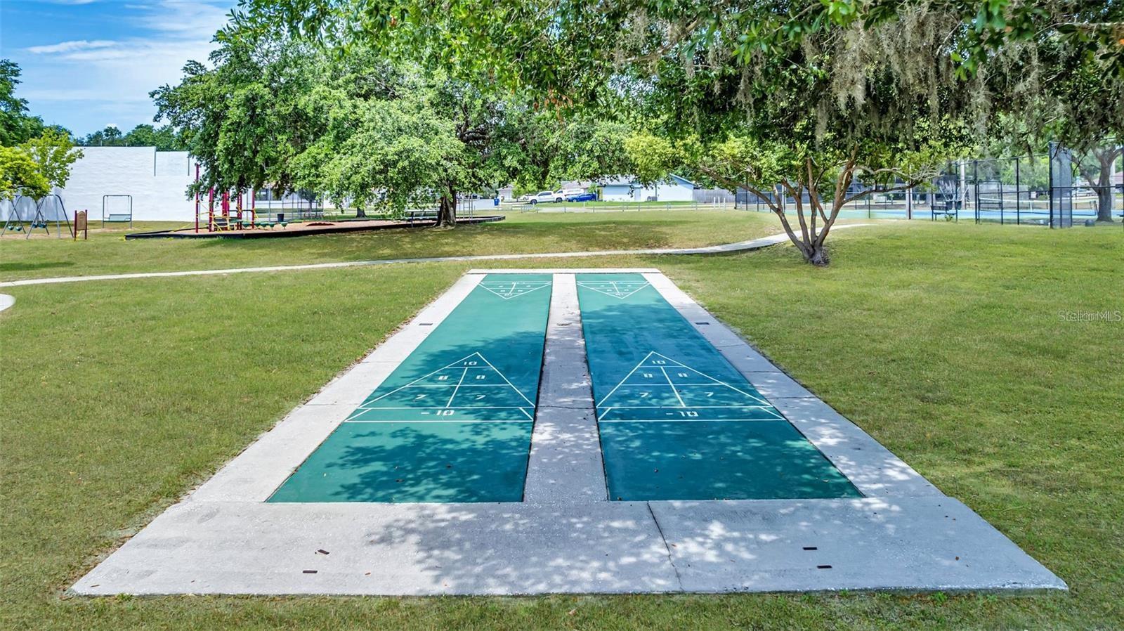 Community Shuffleboard