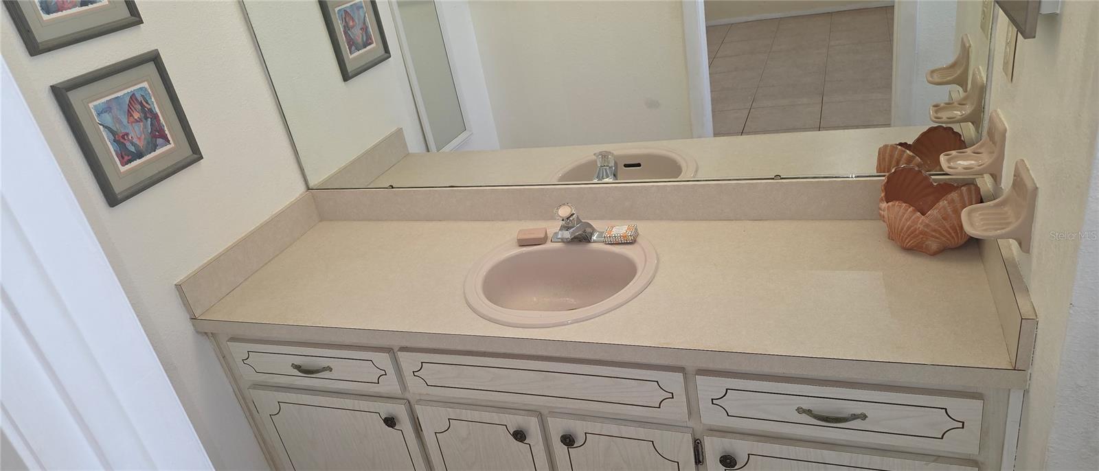 Primary Bath vanity