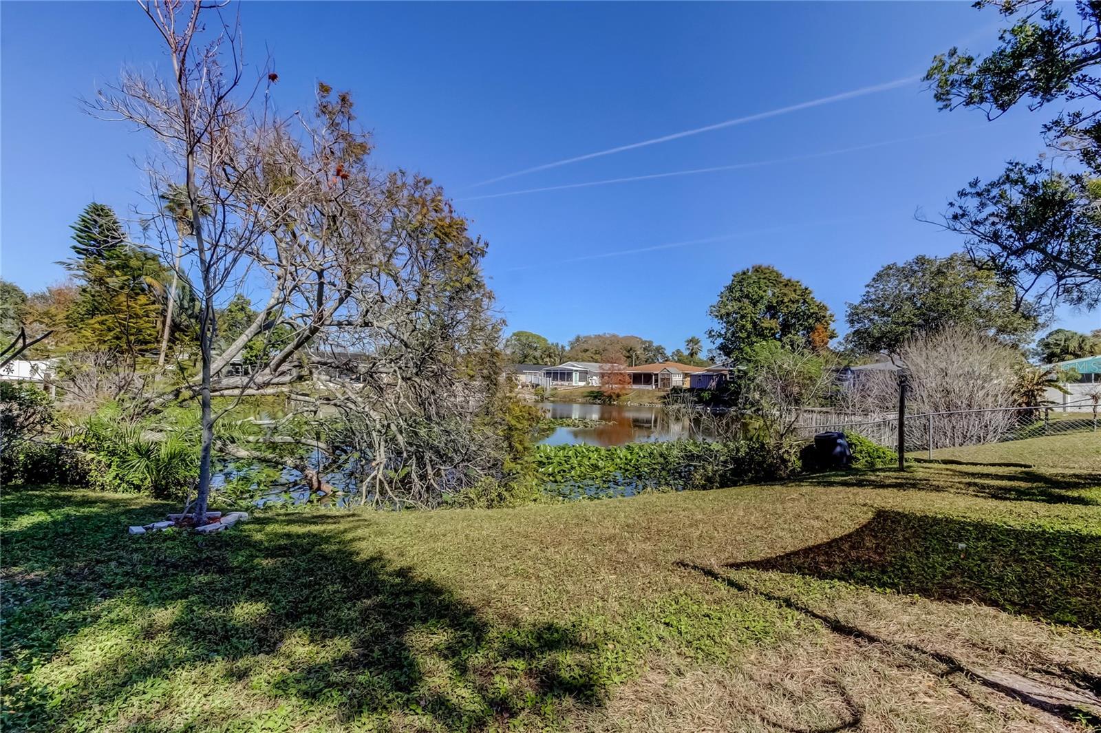 yard looking at water view