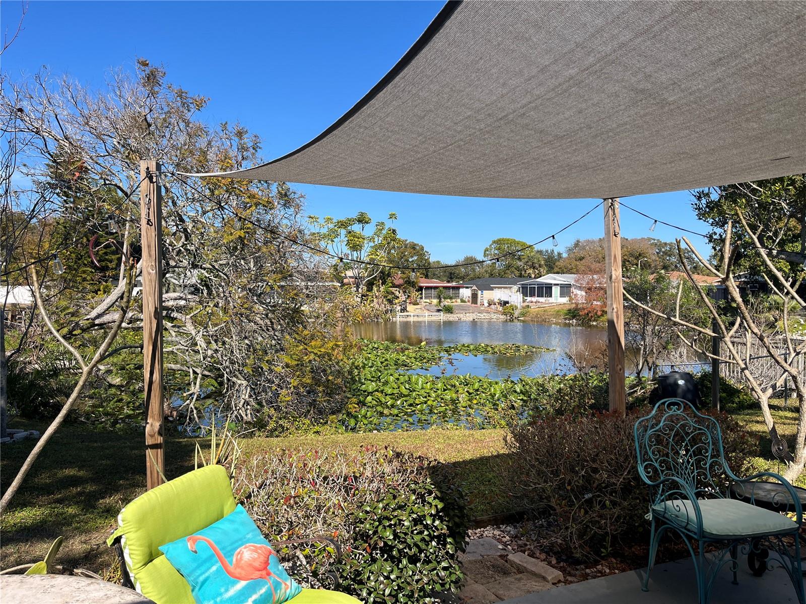 pond view from patio