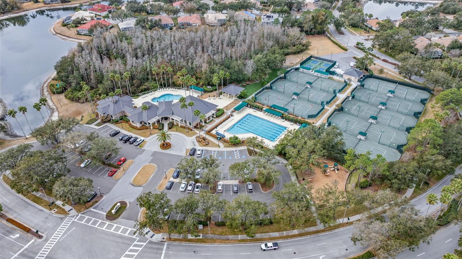 Clubhouse and Amenities