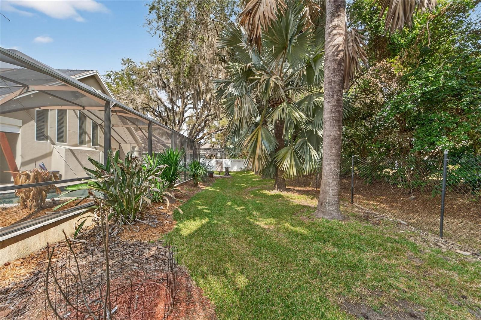 Large lot/backyard with fruit trees & palm trees