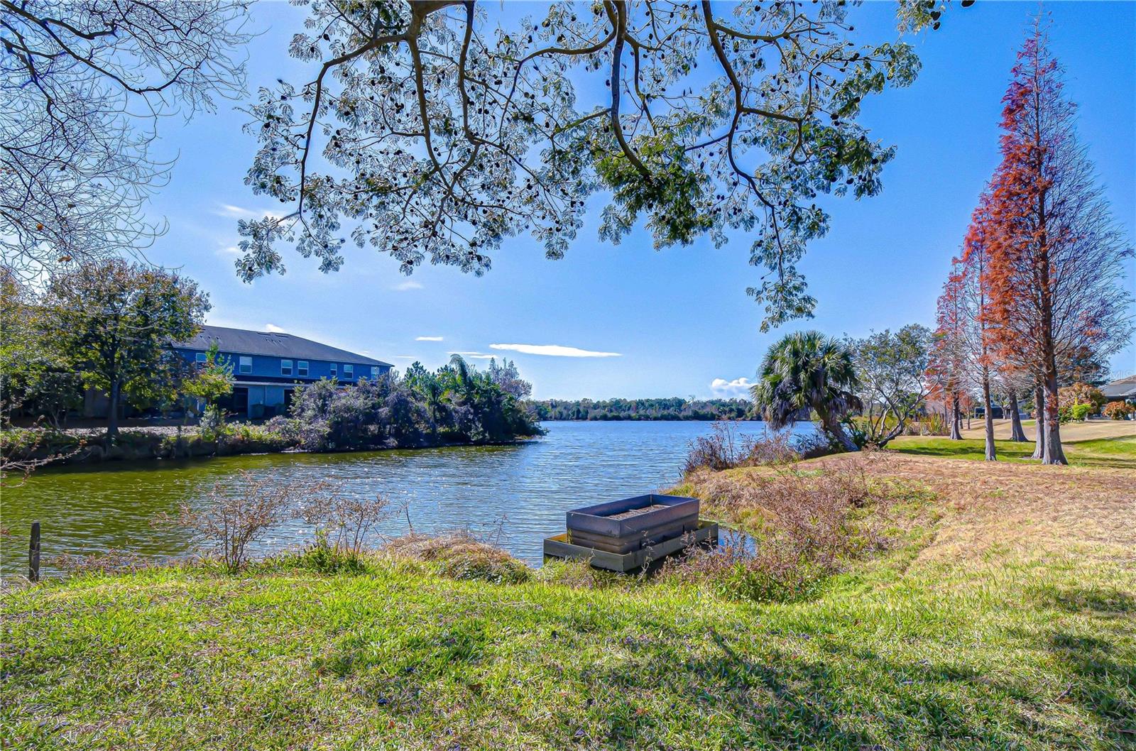 Community lake for fishing!