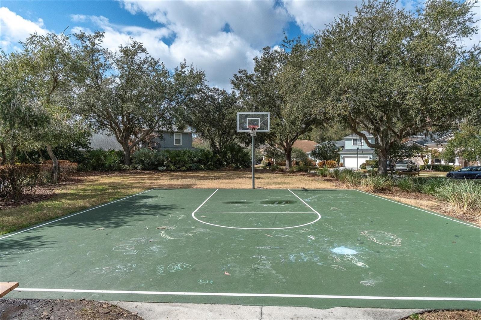 Springwood Basketball Court