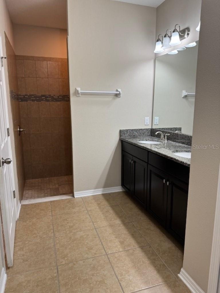 Master shower and vanity