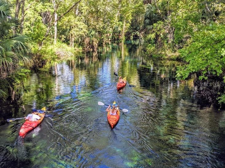 Kayak through Hillsborough River State Park