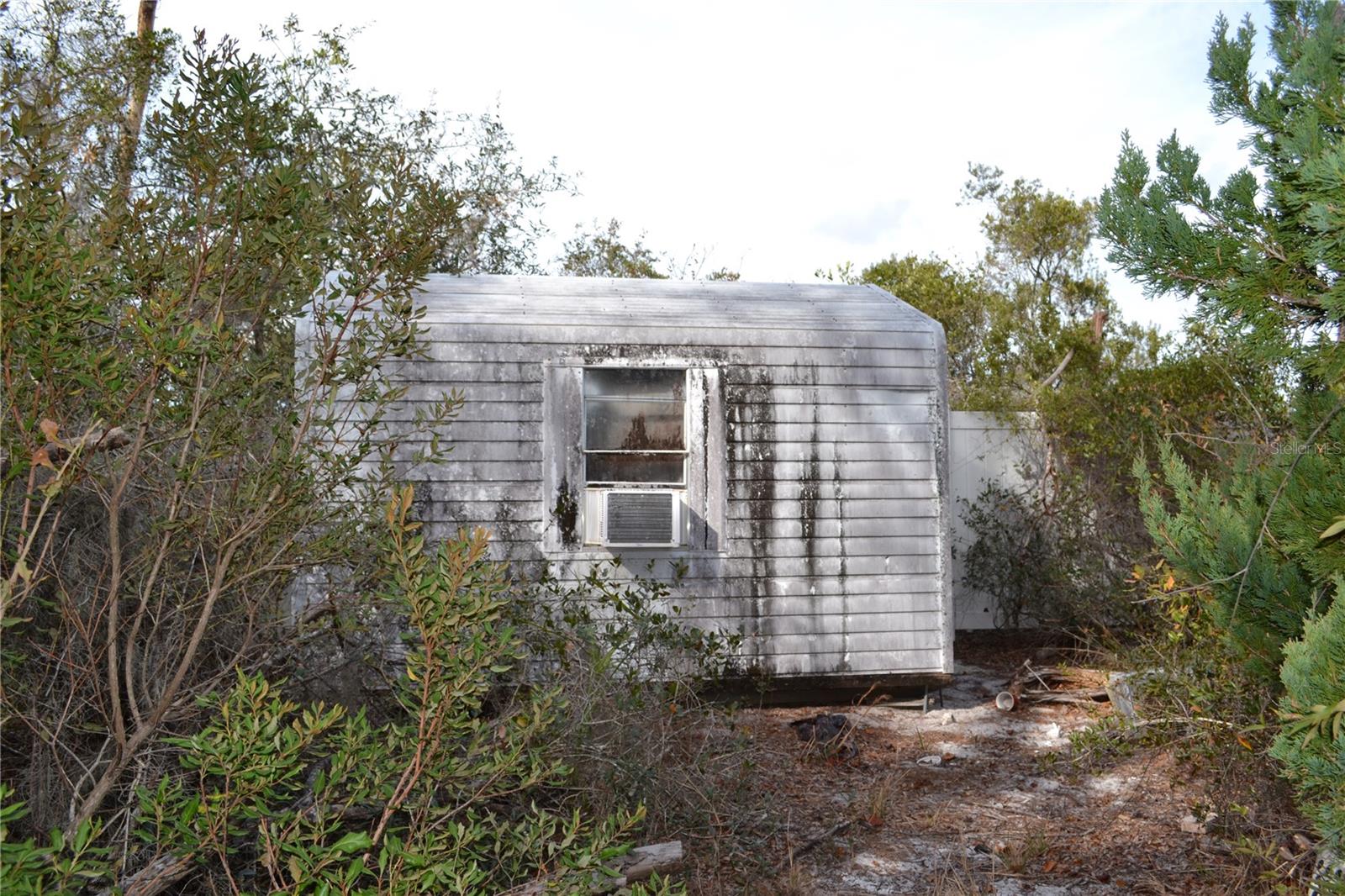 Shed in the back yard