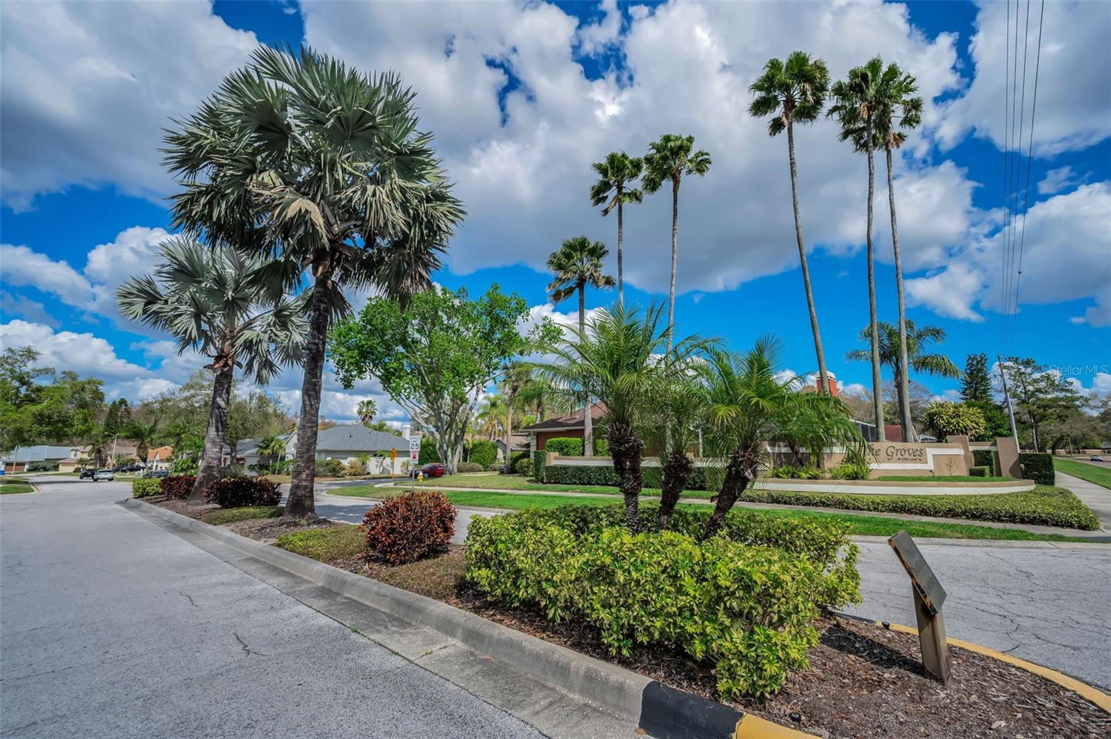 Well-Maintained Community