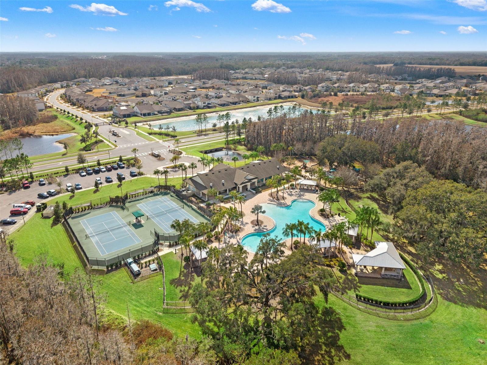 One of New Tampa Best-Kept Secrets