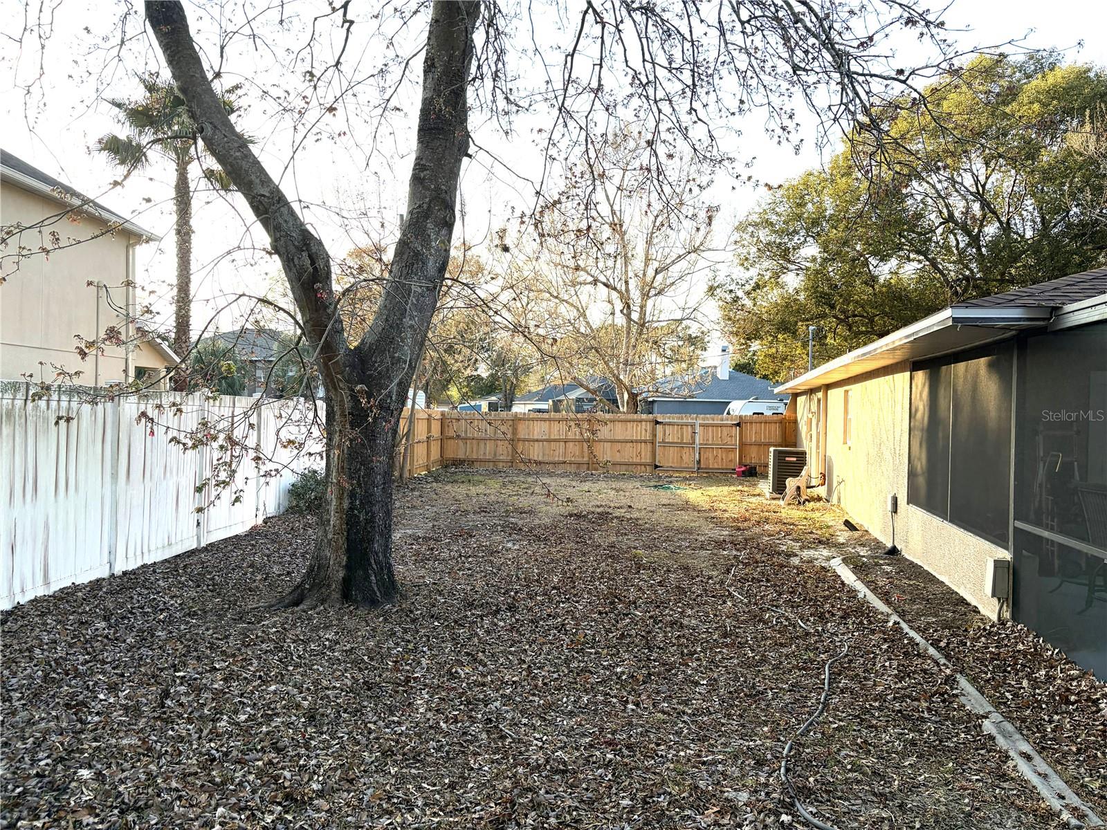 Backyard view 2