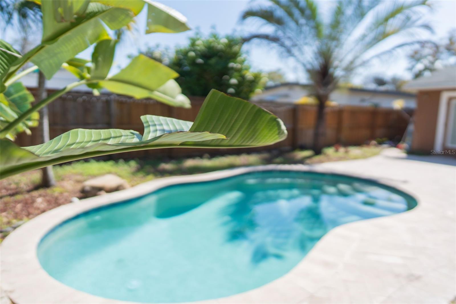 Backyard Oasis with Private pool.