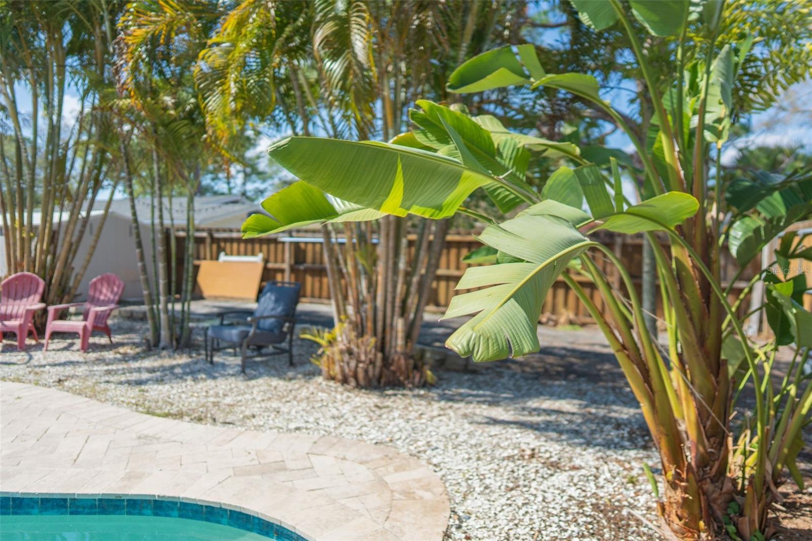 Backyard Oasis with Private pool.