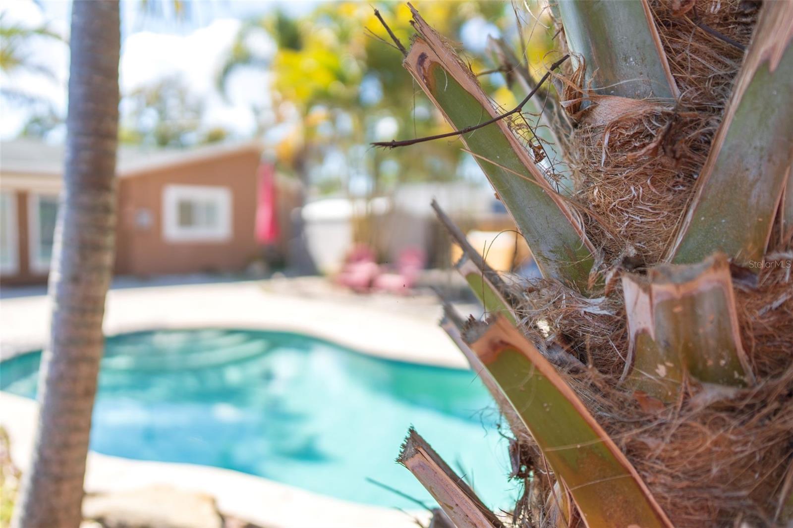 Backyard Oasis with Private pool.