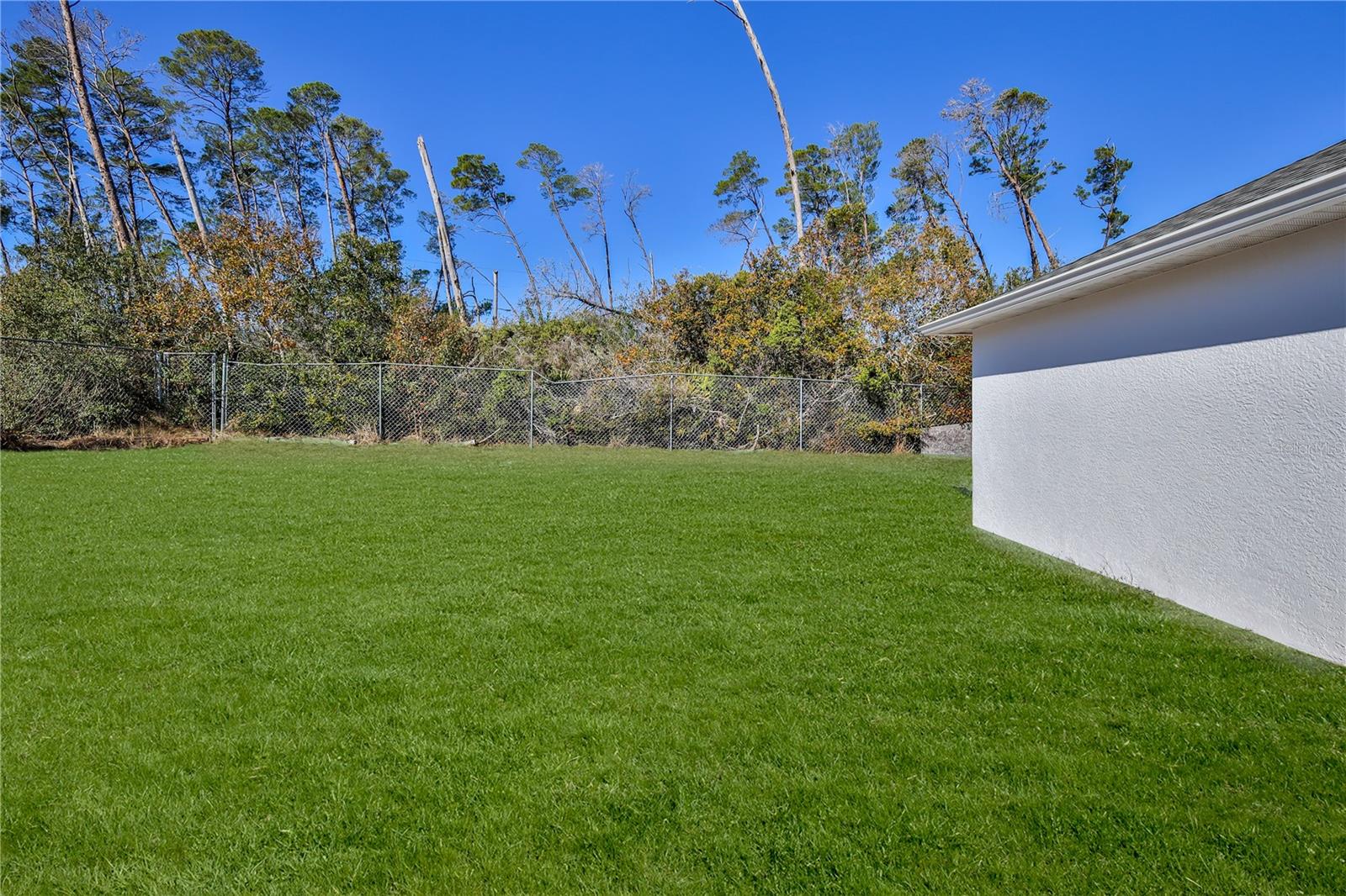 Huge fenced rear yard