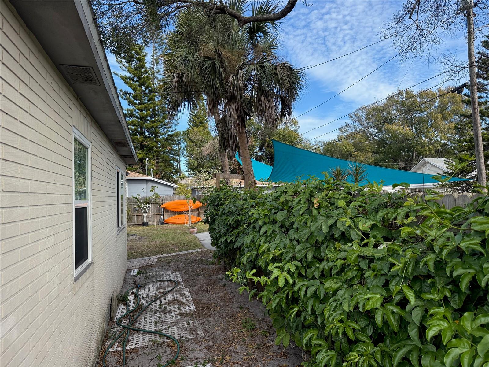 Rear wall of home, which faces east. The lush vine is passionfruit - which flowers & fruits nearly all year long!