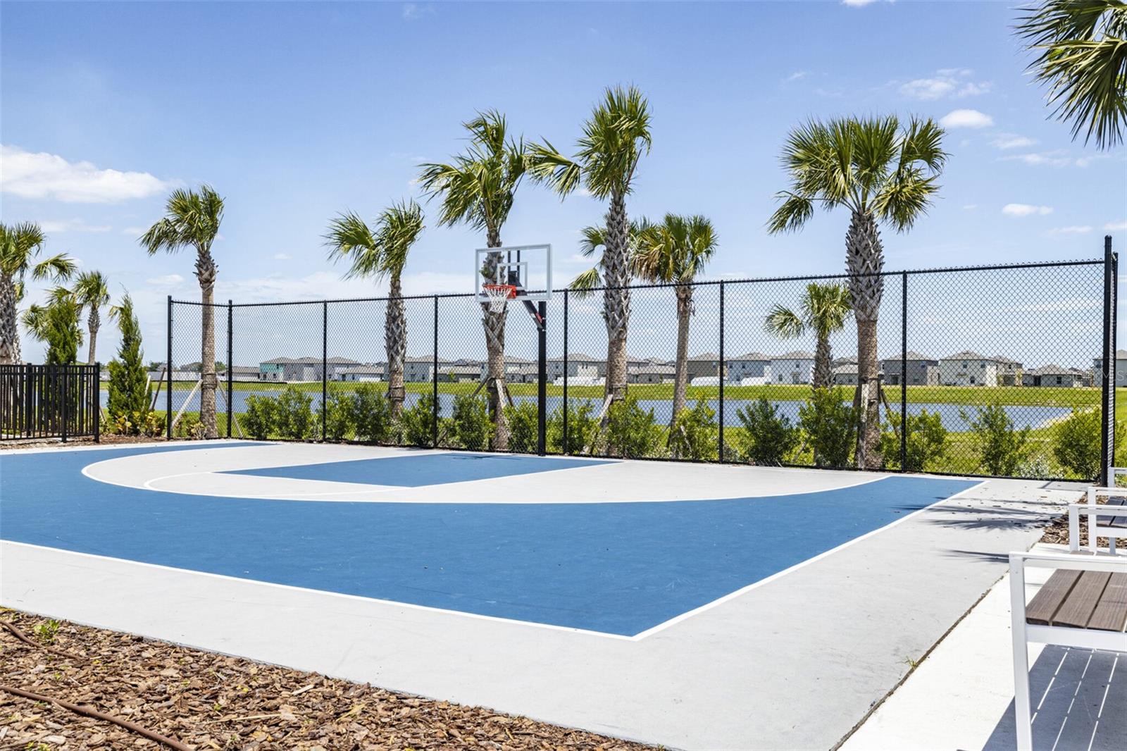 Basketball and Pickleball