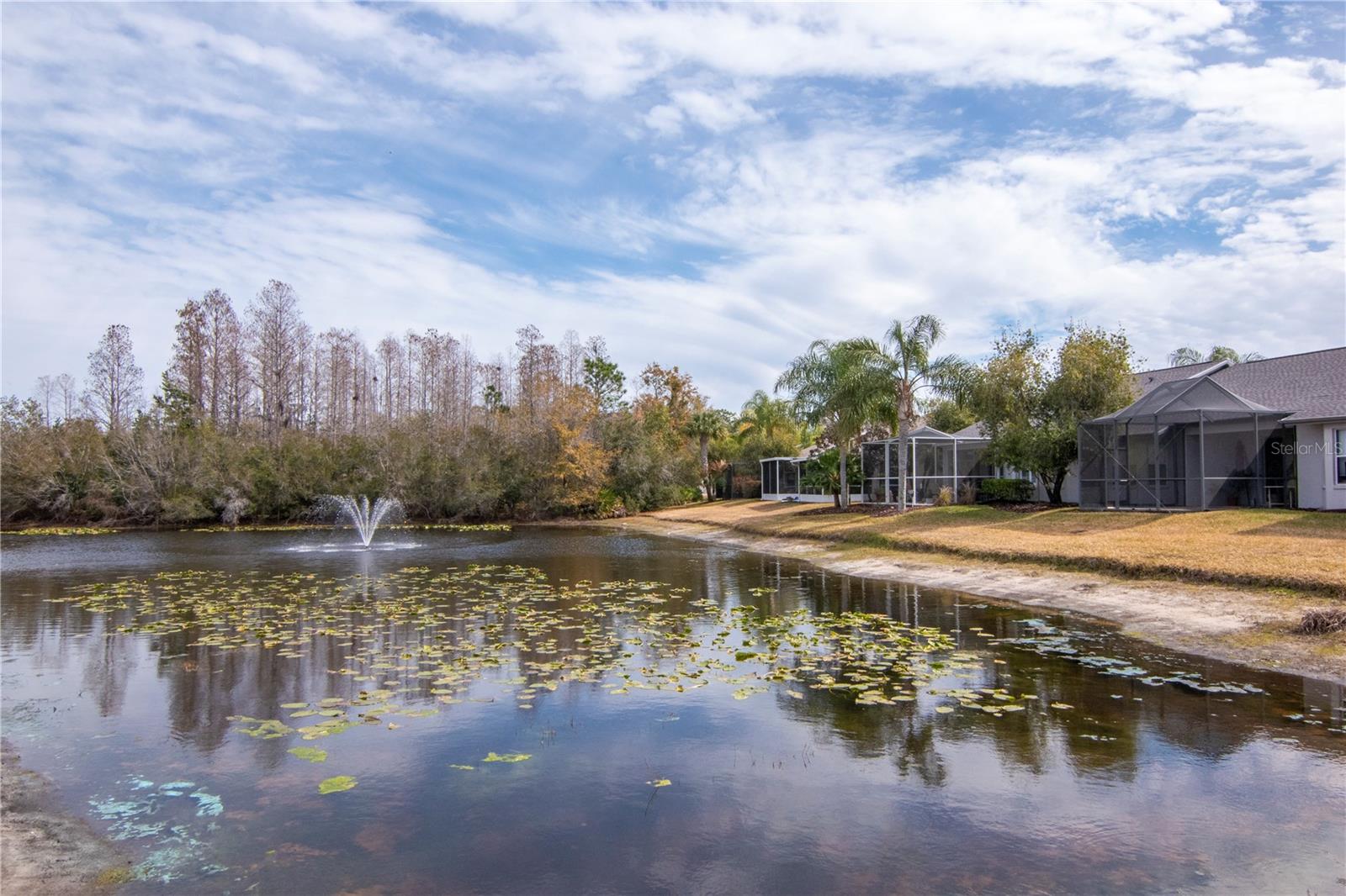 Enjoy peaceful pond views from the backyard.