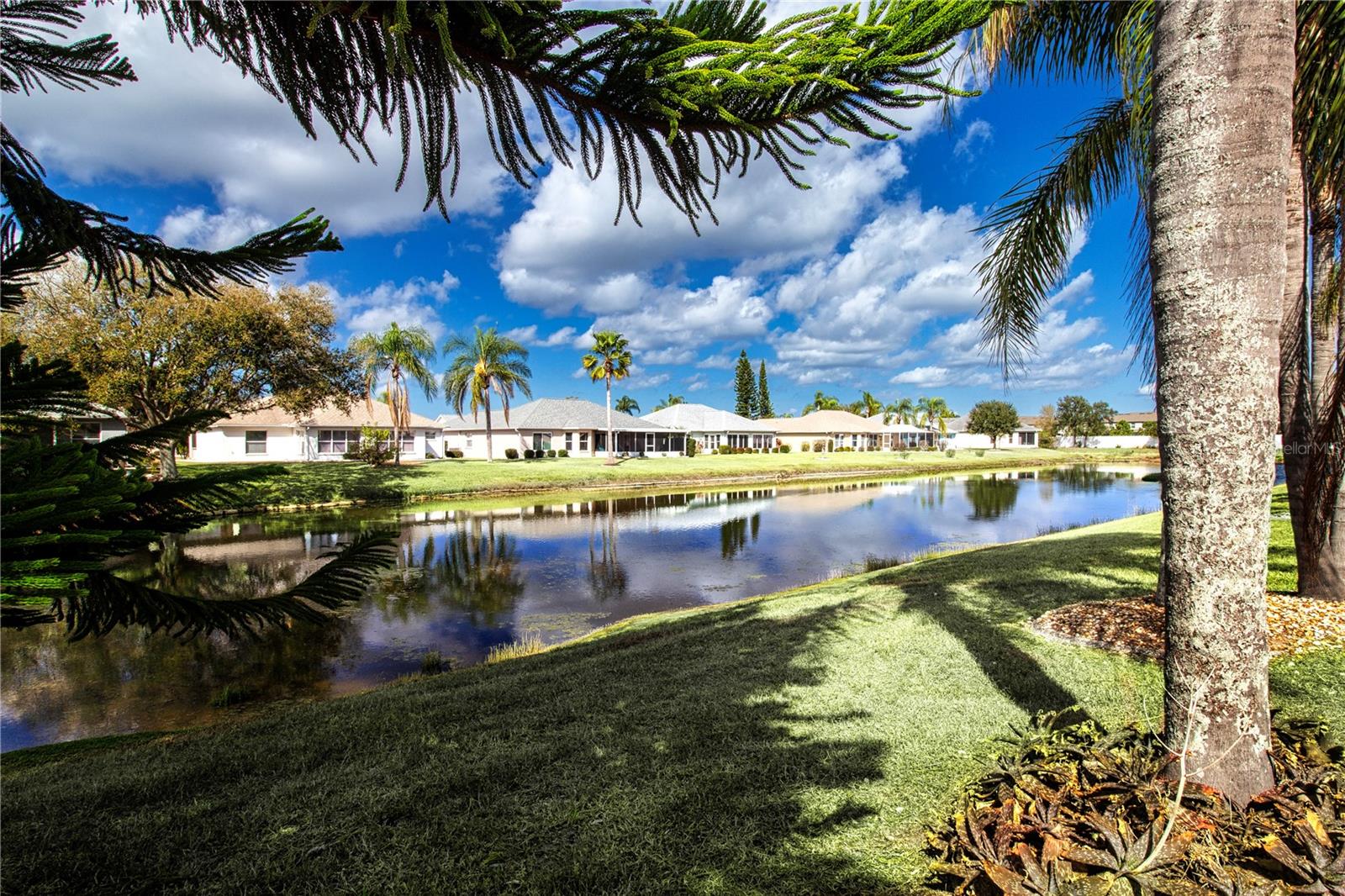 View from lanai and Florida room
