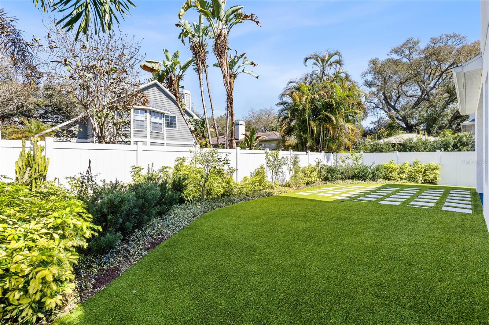 Eastern View of the Backyard 2