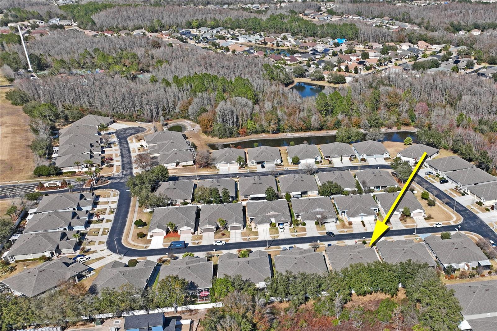 Community Aerial View