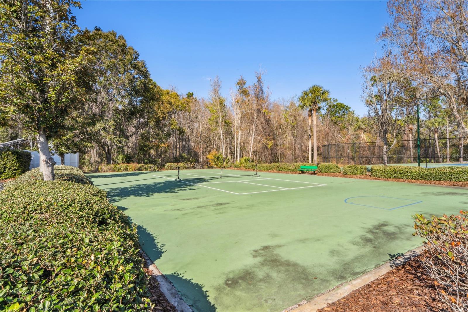 Pickleball Courts
