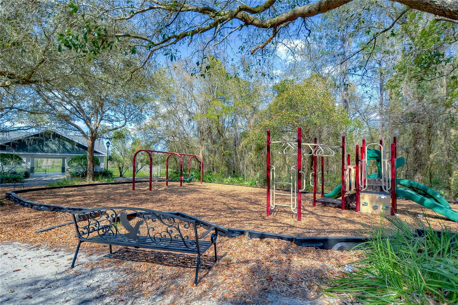 Fish Hawk Trails Community!