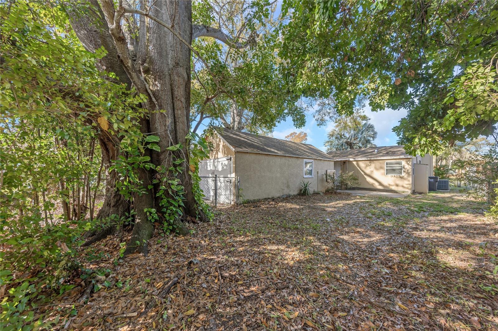 Rear Yard - Full View