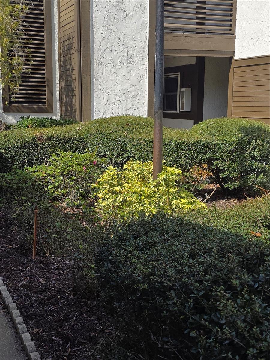 Nicely Landscaped at the front door of the unit