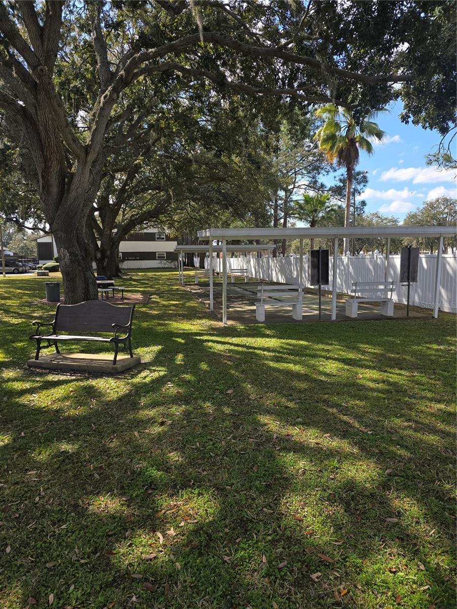 Shuffle Board and picnic area