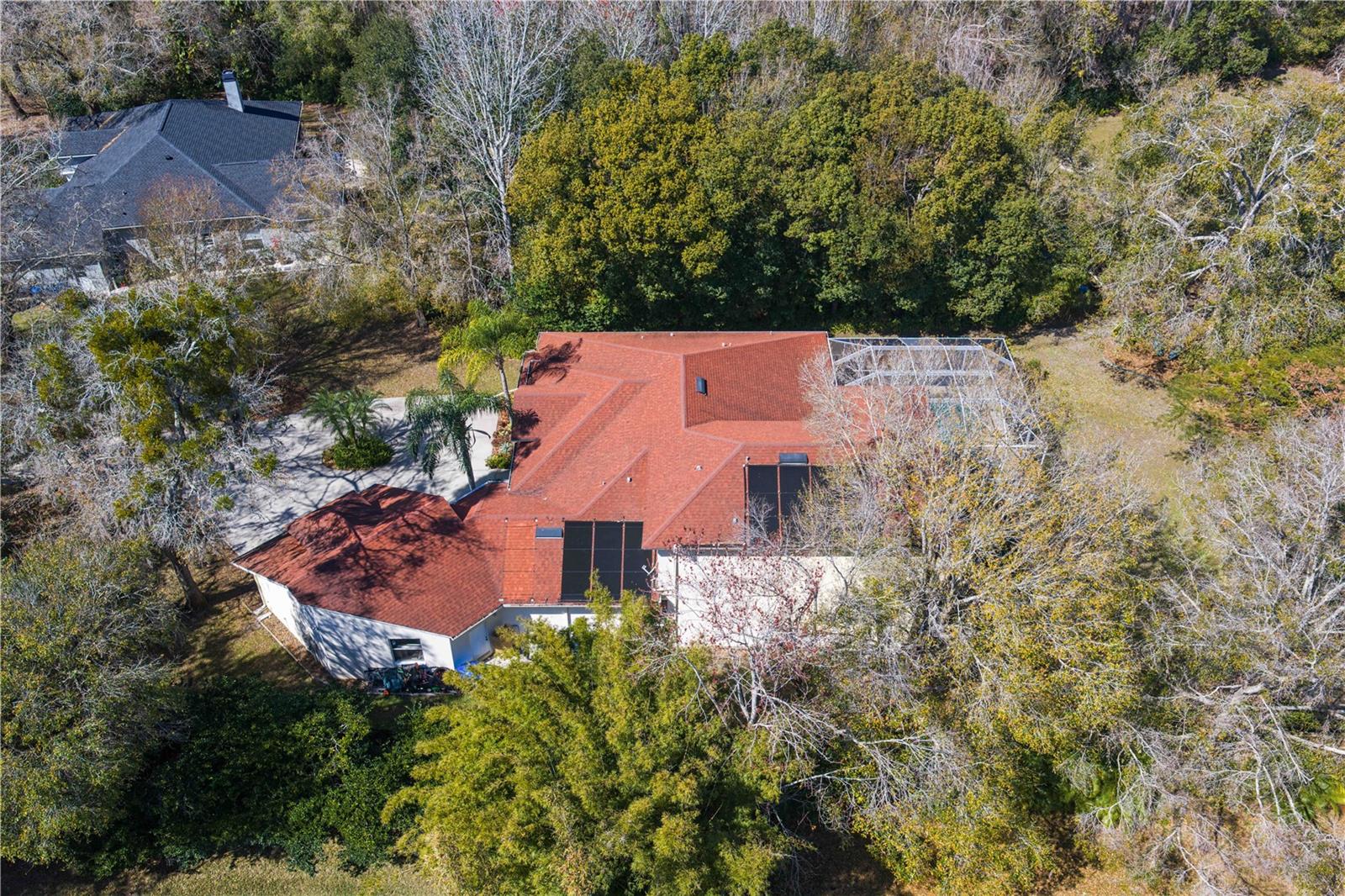 Privacy, nestled in Trees