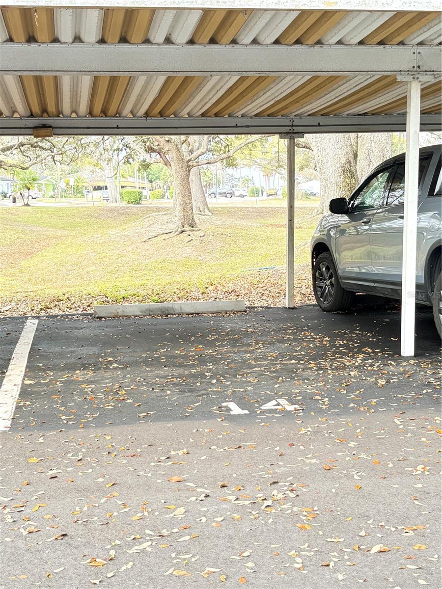 Covered Carport #14