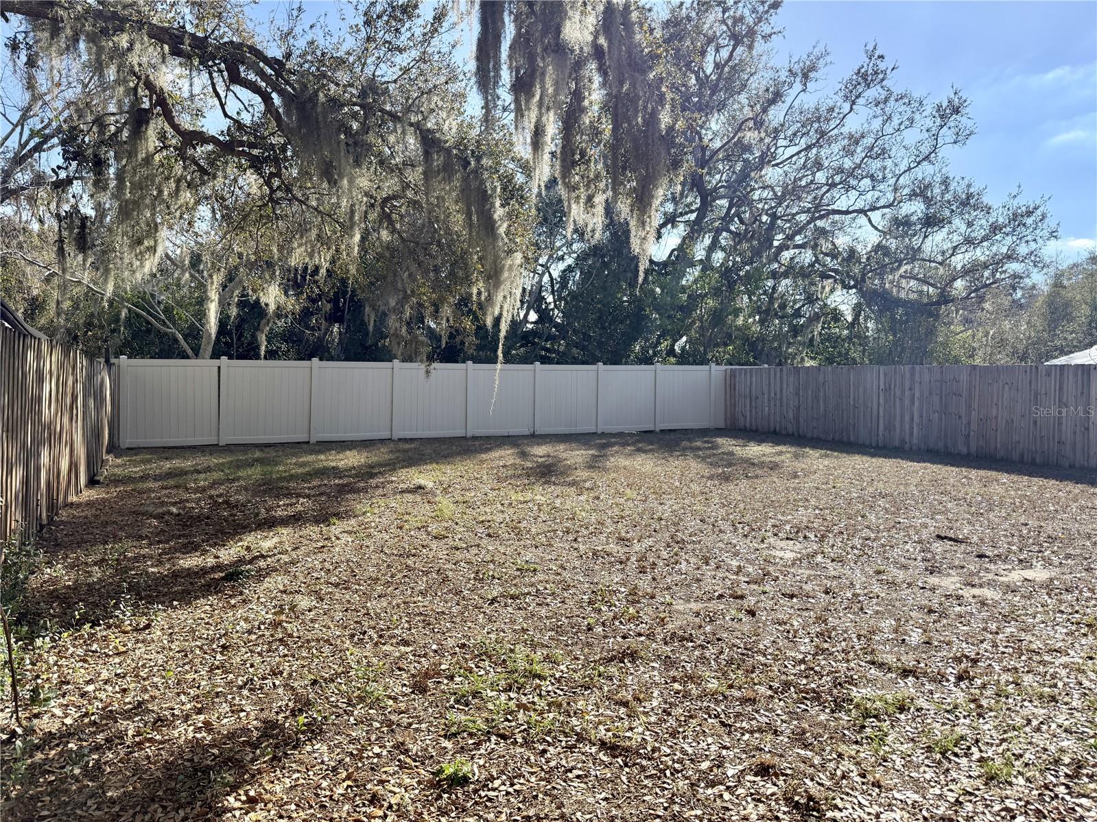 Large Fenced Backyard