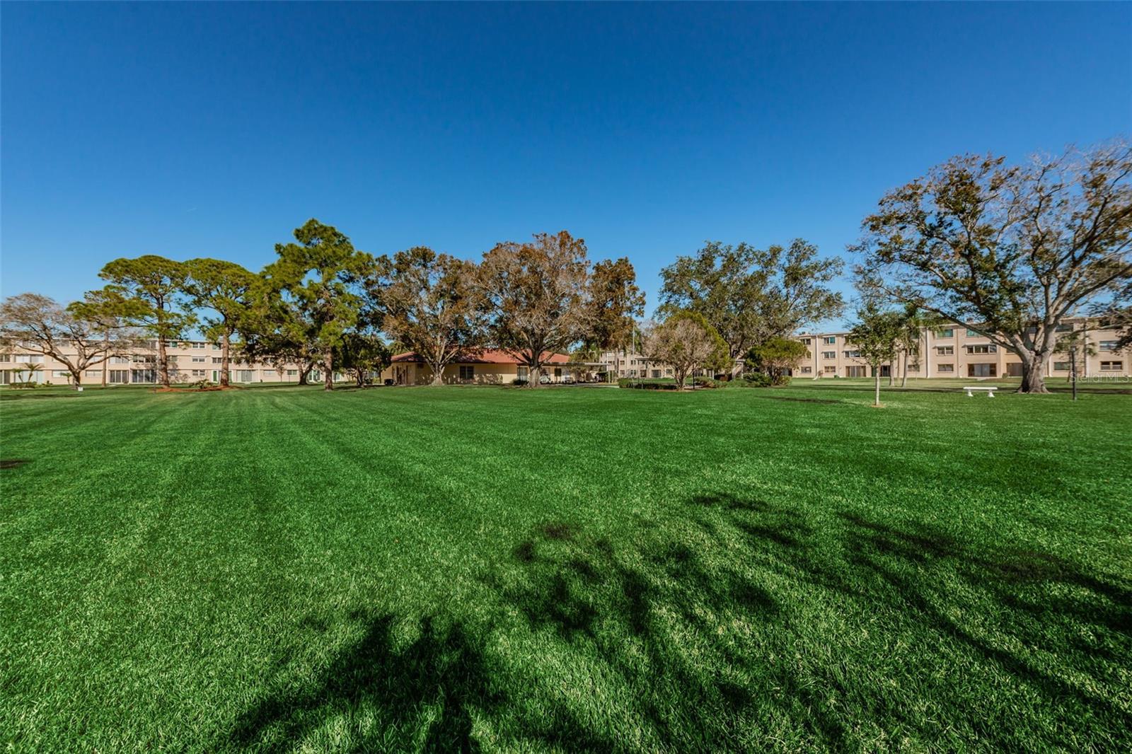 Beautiful Shaded Courtyard