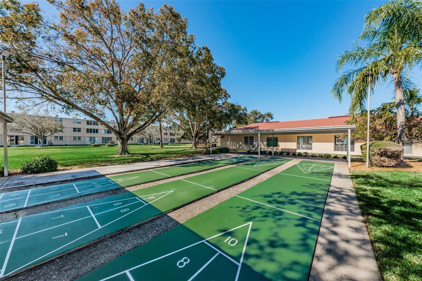Shuffleboard Area #2